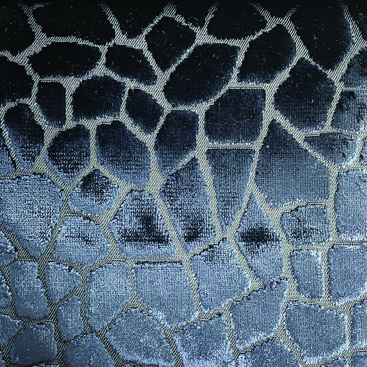 Raffles Mosaic 6